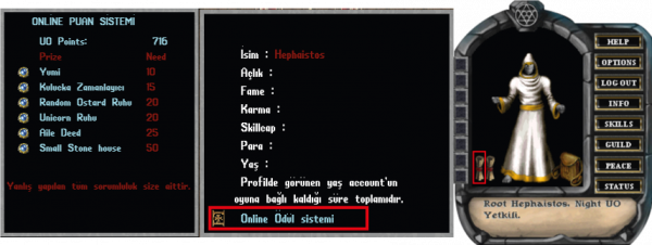 Onlineodul Sistemi
